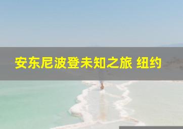 安东尼波登未知之旅 纽约